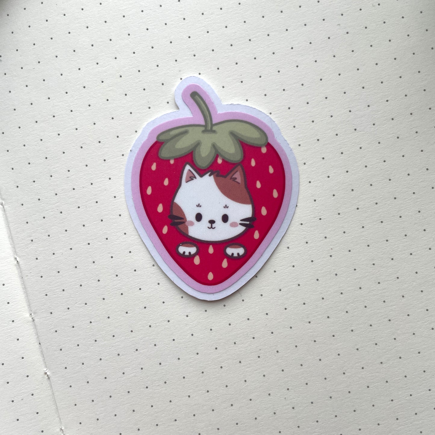 Sticker Pack - Summer Fruits & Cats